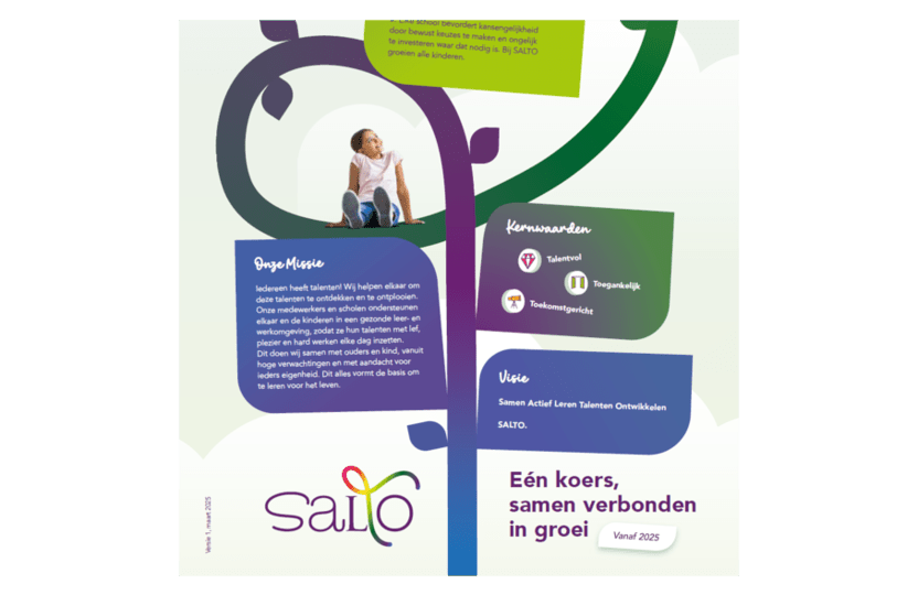 Infographic SALTO-koers